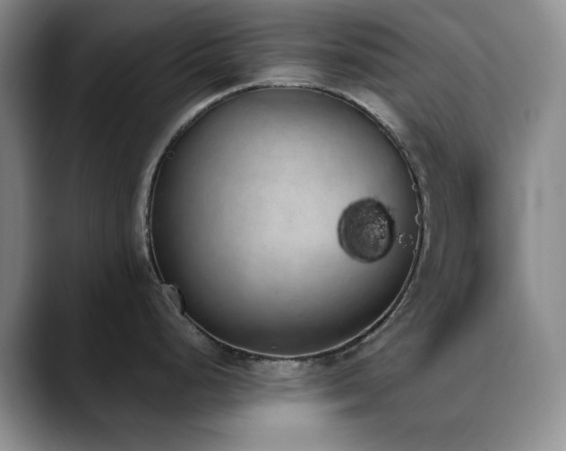 X0000090711248200707201210