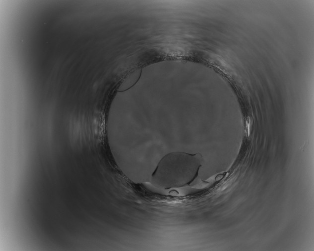 X0000090711251200707201209