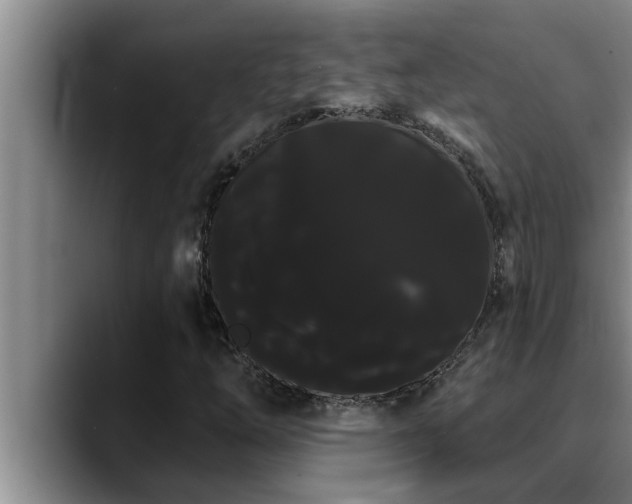 X0000090711254200707201209