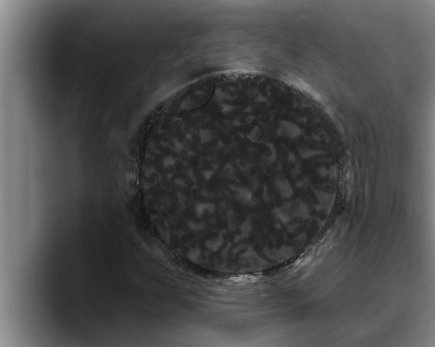 X0000090711255200707201209