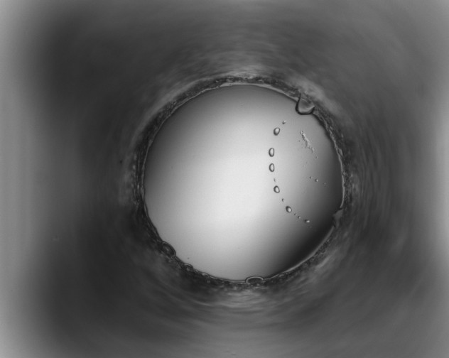 X0000090711256200707201209