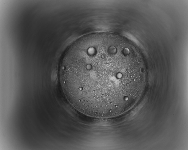X0000090711259200707201209