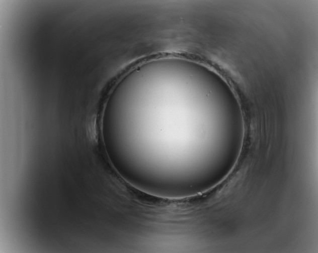 X0000090711262200707201209