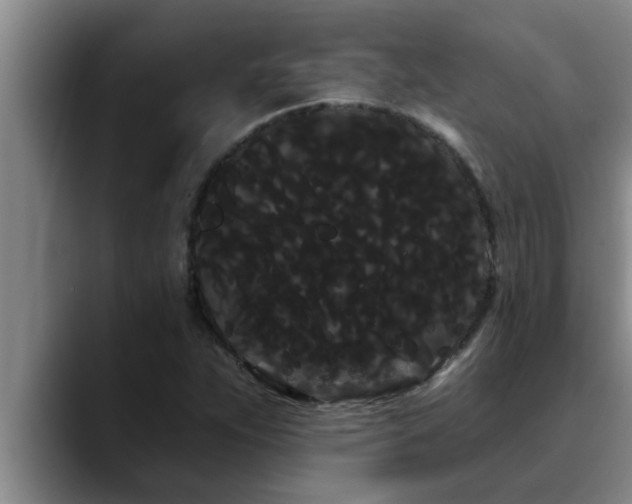 X0000090711263200707201209