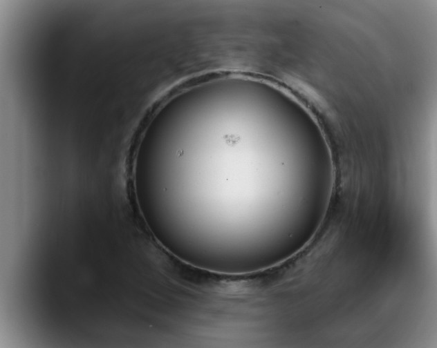 X0000090711264200707201209