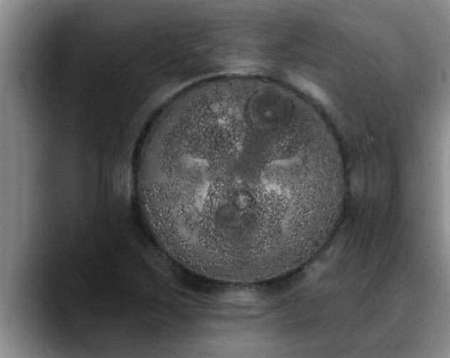X0000090711267200707201209