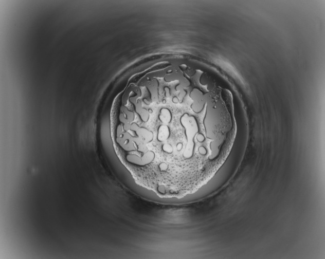 X0000090711268200707201209