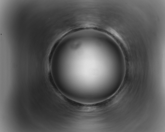 X0000090711269200707201209