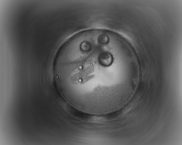 X0000090711271200707201209