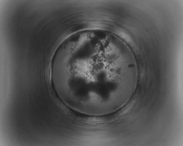 X0000090711275200707201209