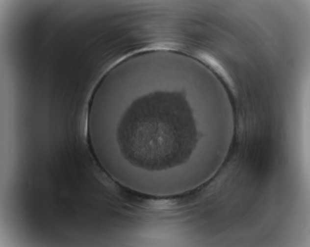 X0000090711276200707201209