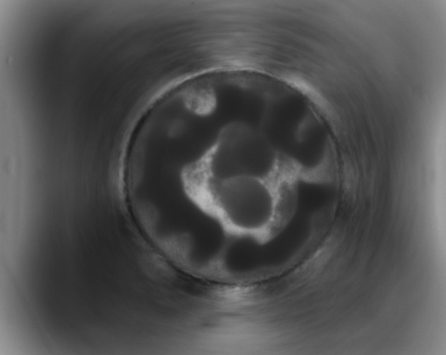 X0000090711278200707201209