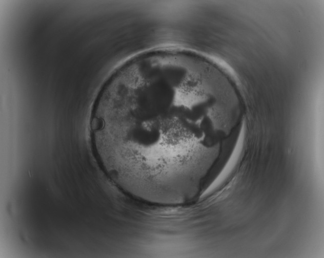 X0000090711279200707201209