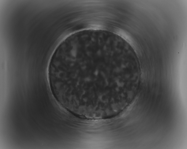 X0000090711283200707201209