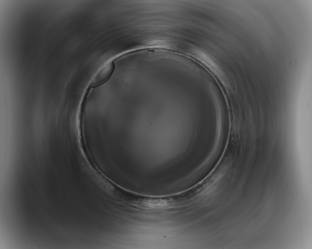 X0000090711291200707201209