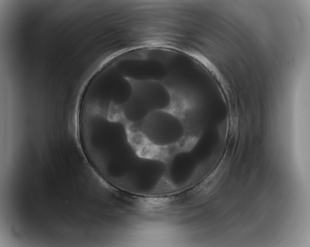 X0000090711294200707201208