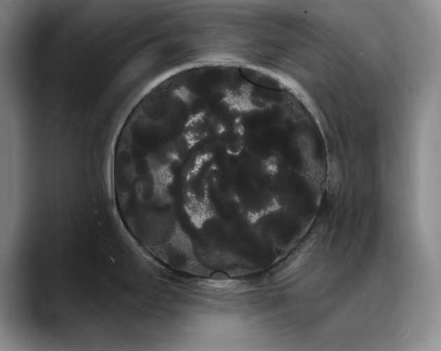 X0000090711295200707201208