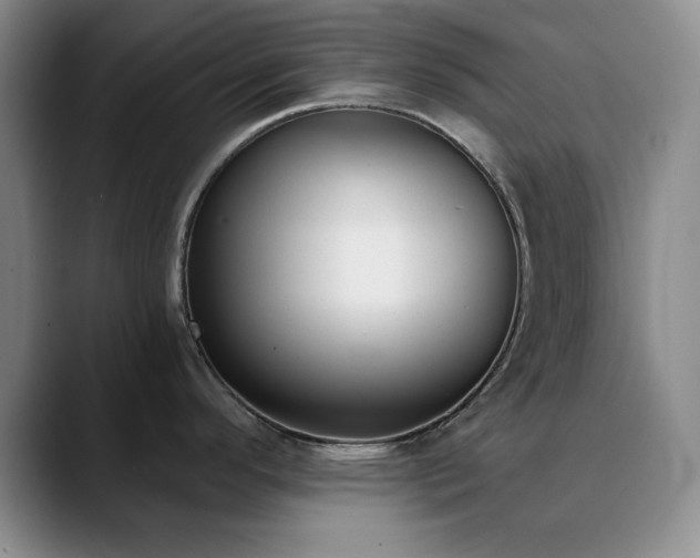 X0000090711296200707201208