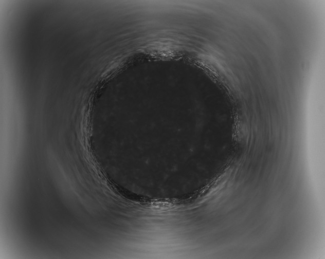 X0000090711297200707201208