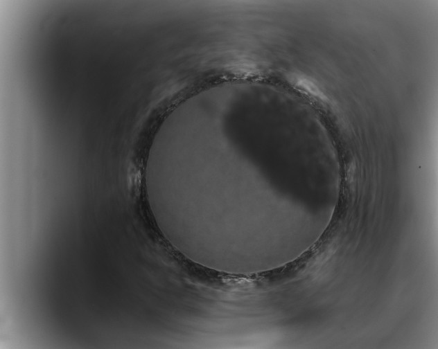 X0000090711302200707201208