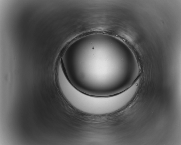 X0000090711308200707201208