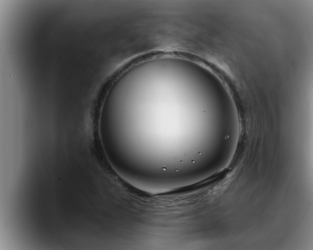 X0000090711311200707201208