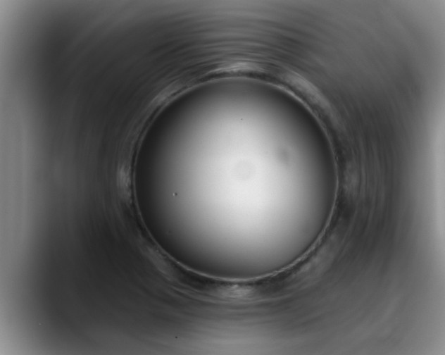 X0000090711321200707201208