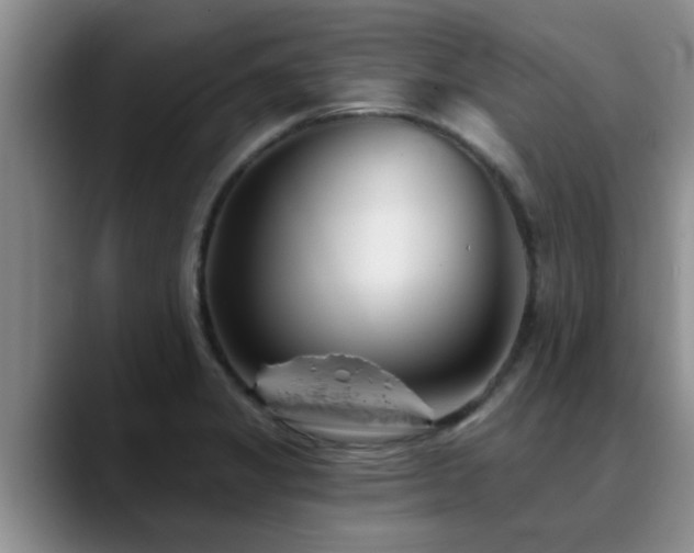 X0000090711325200707201208