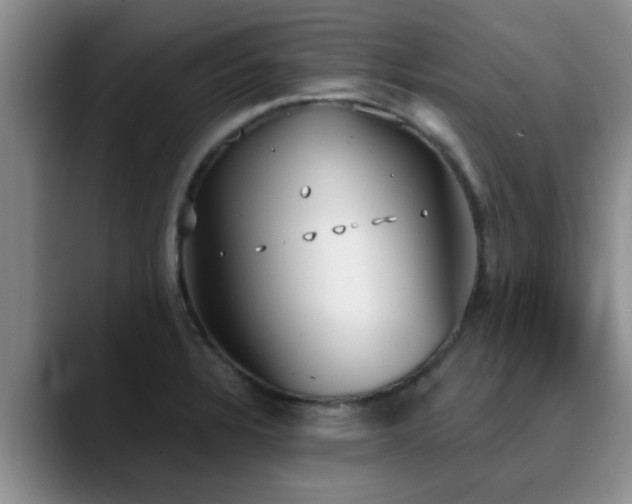 X0000090711328200707201208