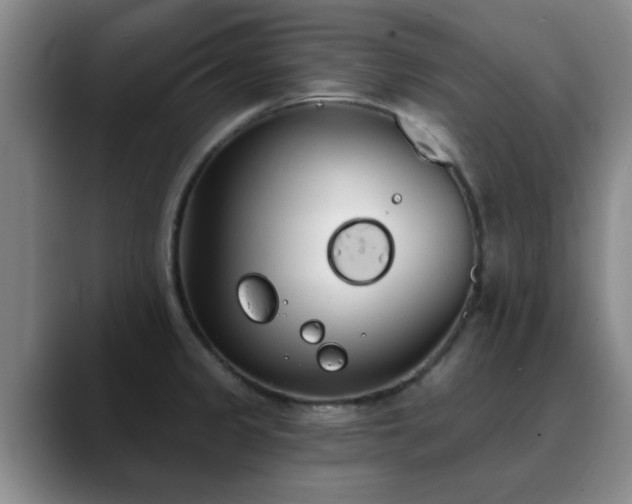 X0000090711333200707201208