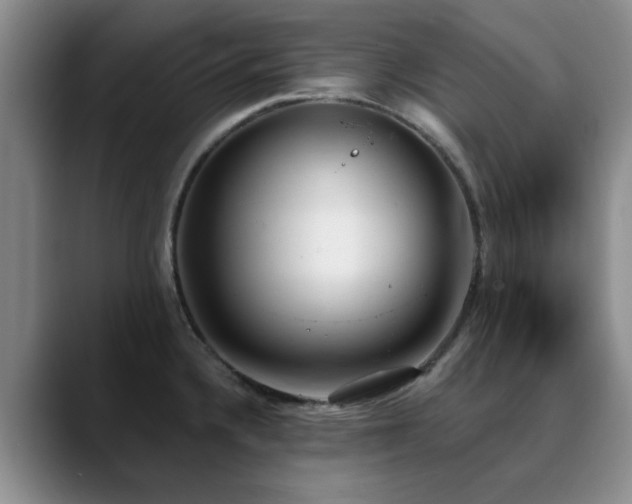 X0000090711336200707201208