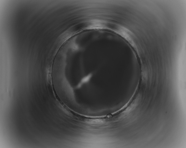 X0000090711337200707201208