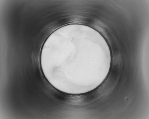 X0000090711338200707201208