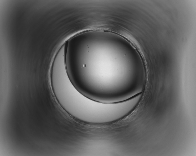 X0000090711344200707201208