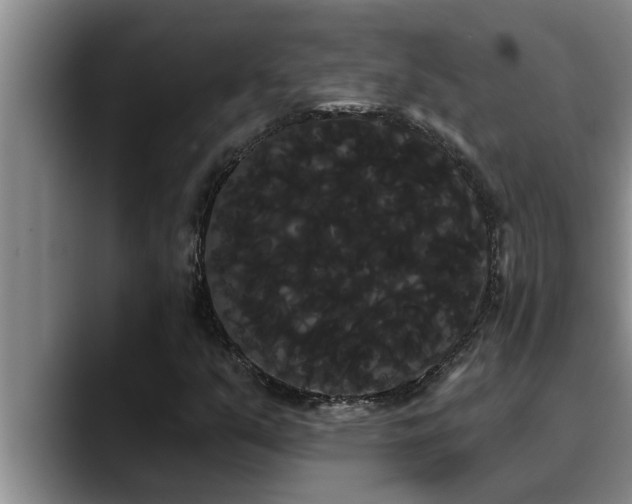 X0000090711351200707201208