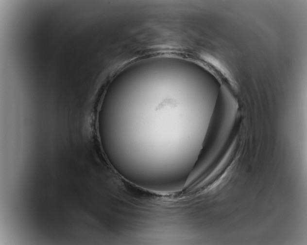 X0000090711357200707201208