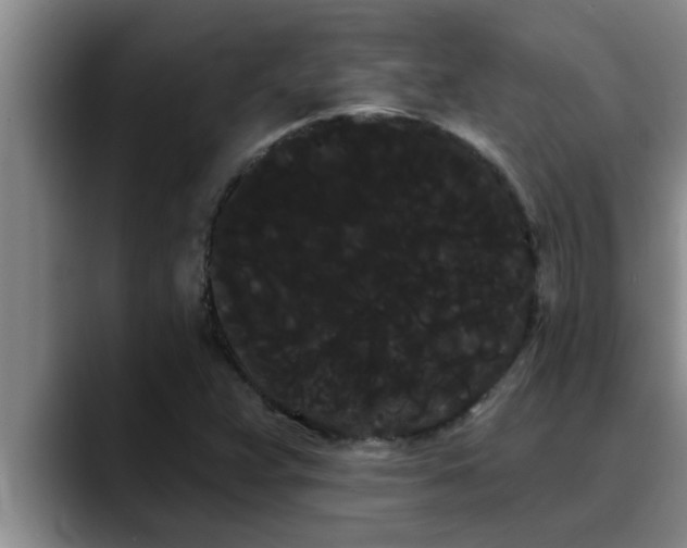 X0000090711359200707201208