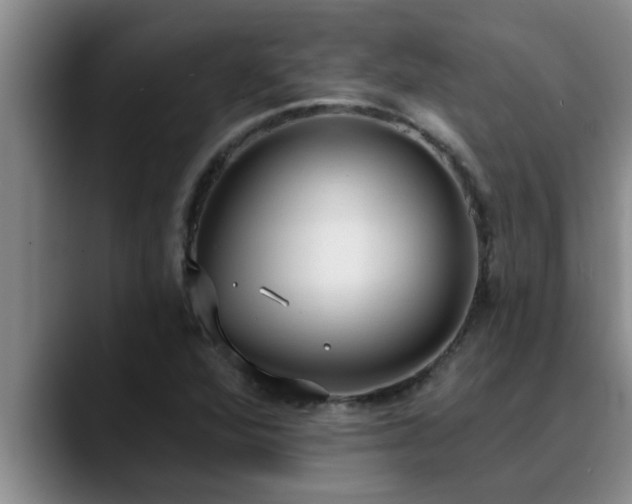 X0000090711360200707201208