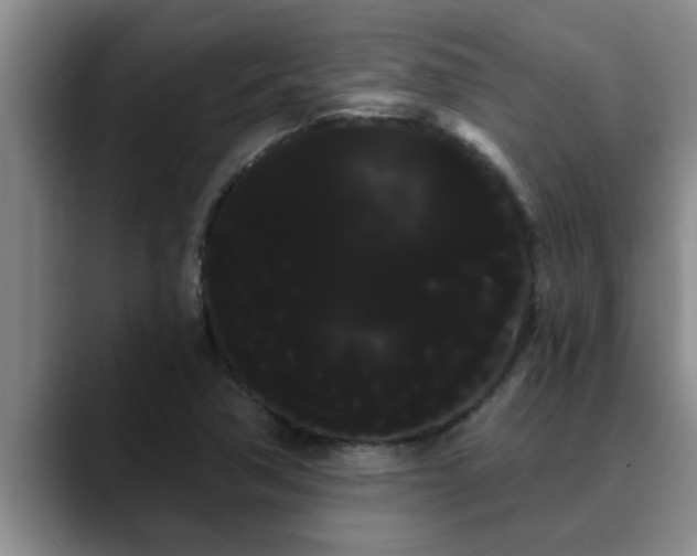 X0000090711362200707201208