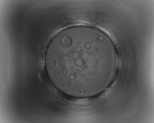 X0000090711363200707201208