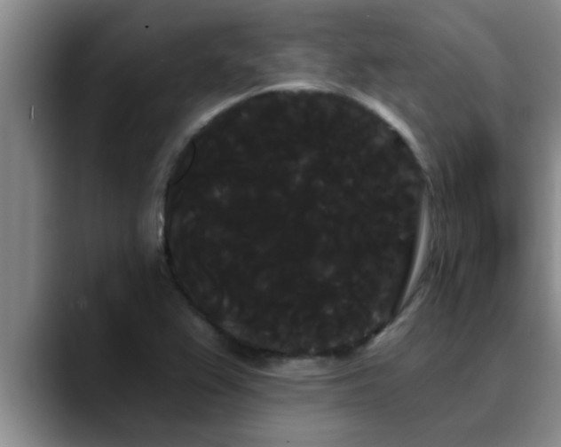 X0000090711367200707201208