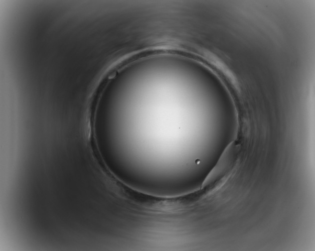 X0000090711368200707201208