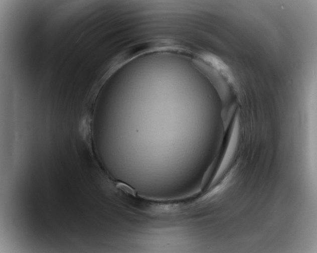 X0000090711369200707201208