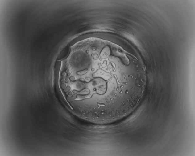 X0000090711371200707201208