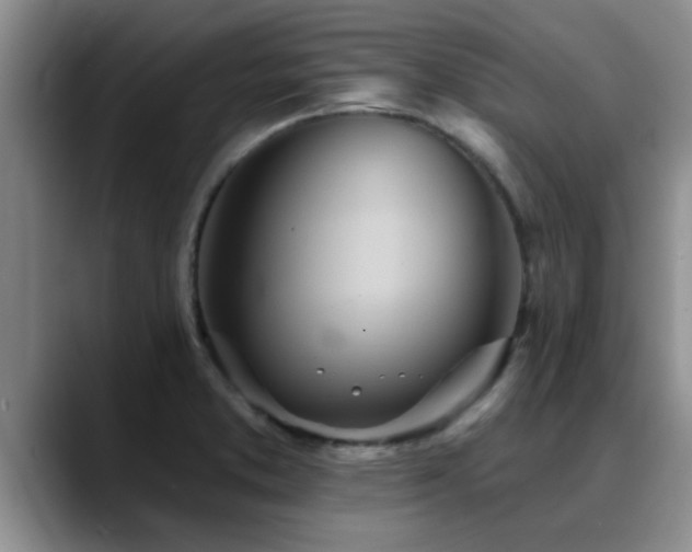 X0000090711373200707201208