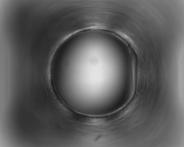 X0000090711375200707201208