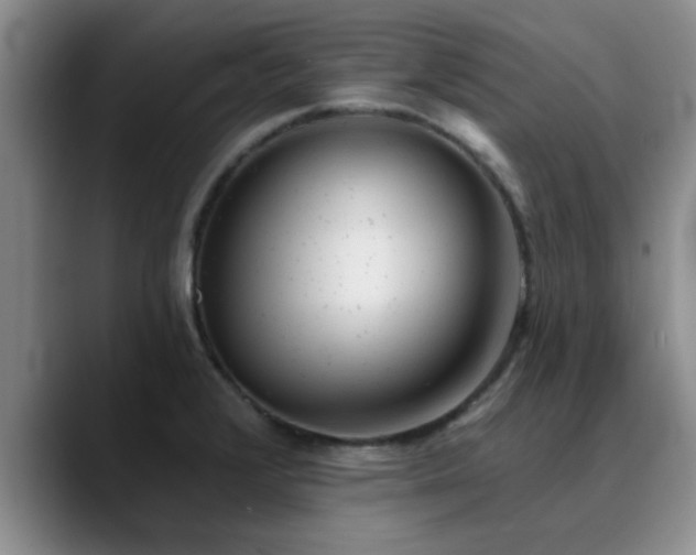 X0000090711376200707201208