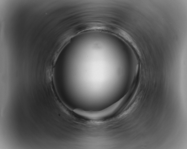 X0000090711377200707201208