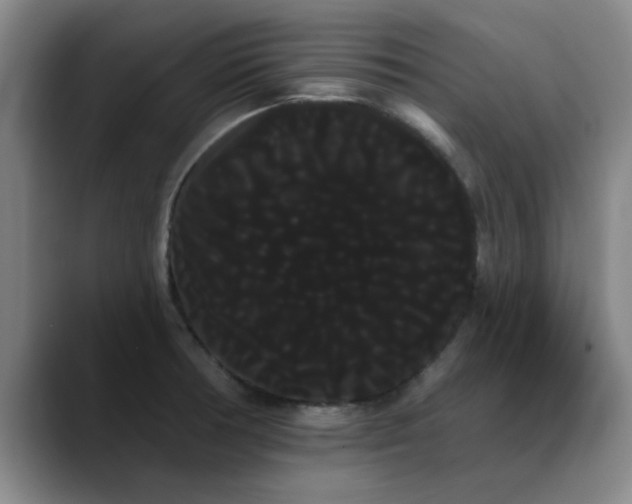 X0000090711378200707201207