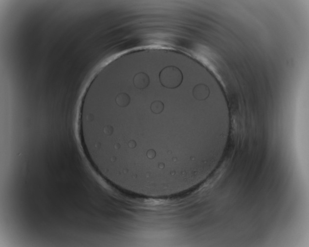 X0000090711379200707201207